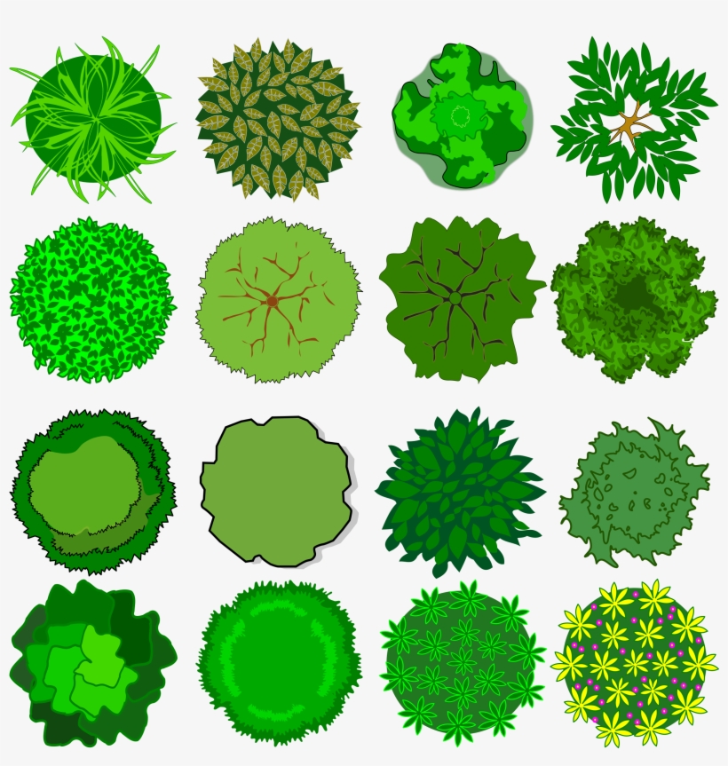 Tree Top View Clipart Library Library - Bella Thorne Makeup Palette, transparent png download