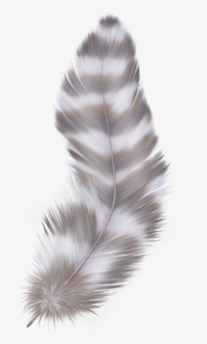 Фотки Feather Art, Watercolor Feather, Feather Painting, - Truck Motorcycle Car Lorcoo Universal Motorcycles #00001, transparent png download