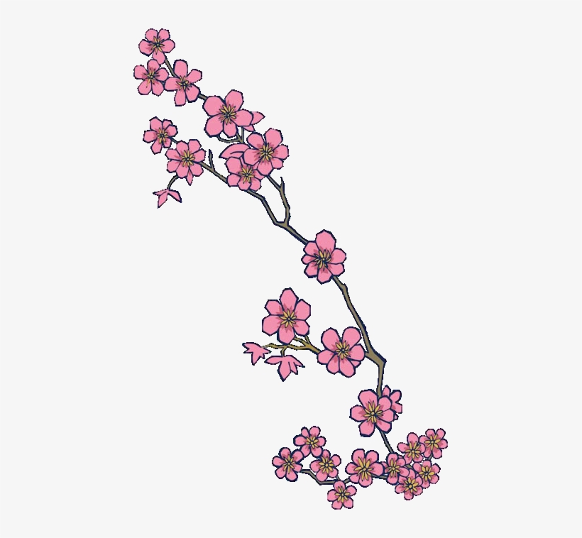 Cherry-blossom - Cherry Blossom Design Transparent, transparent png download