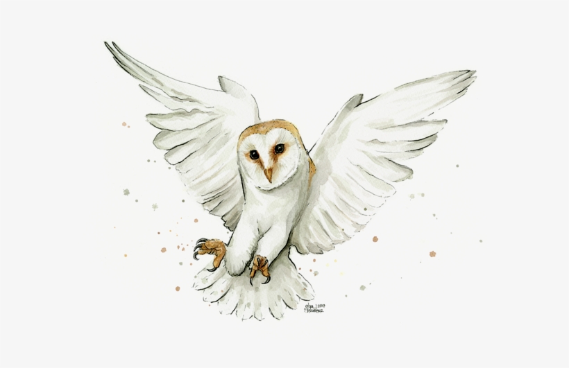 Click And Drag To Re-position The Image, If Desired - Barn Owl Watercolor, transparent png download