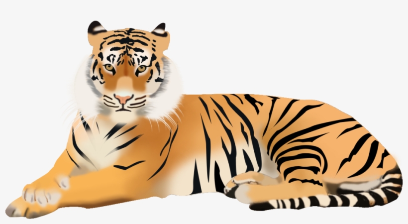 Tiger - Png Image Bengal Tiger, transparent png download