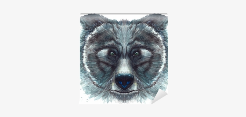 Painted Drawing With Watercolor Head Of A Bear Portrait - Desenho Pintado De Aquarela, transparent png download