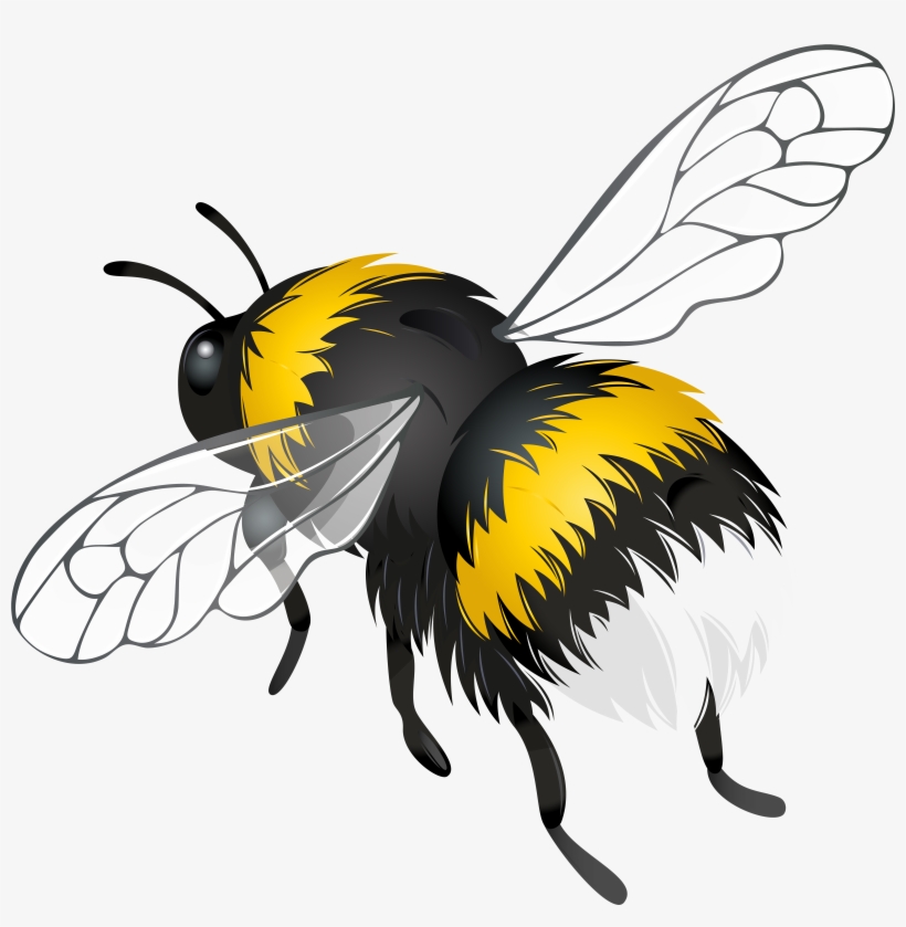 Flying Bee Png Clipart - Bee Png, transparent png download