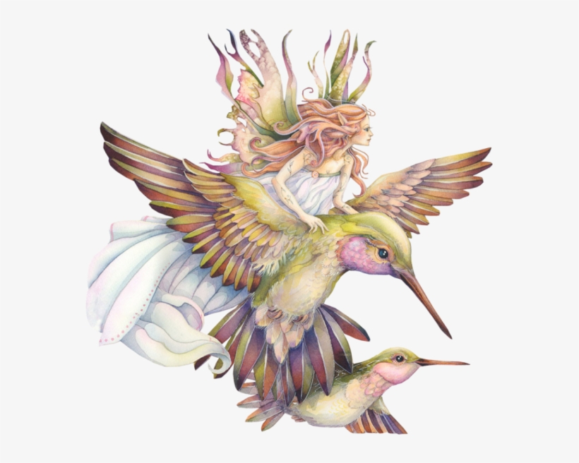 Fairy Bird Png File - Lindy Premium Ieee 1394 Cable - 4.5 M, transparent png download