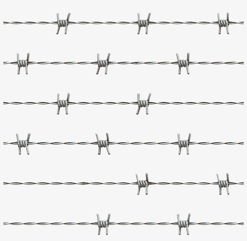 Barbed Wire Texture PNG Image | Transparent PNG Free Download on SeekPNG