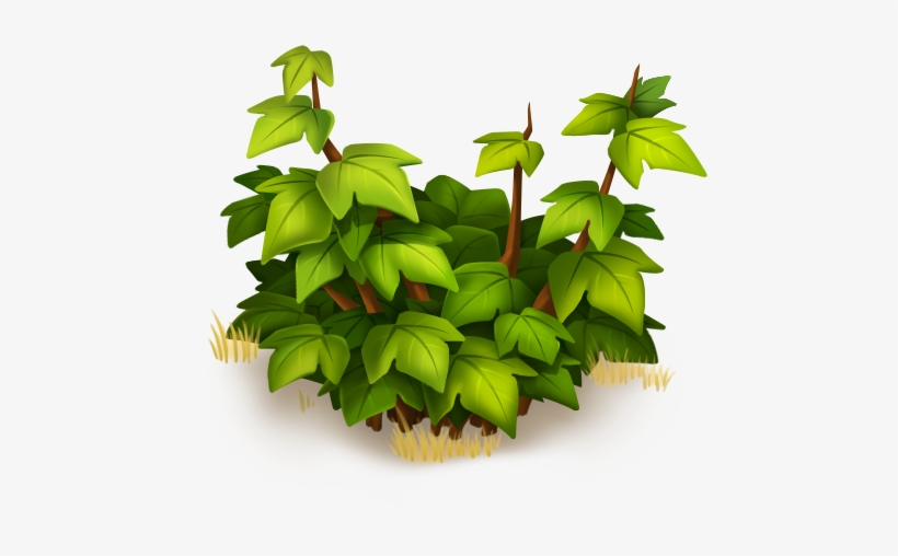 Short Bush - Houseplant, transparent png download