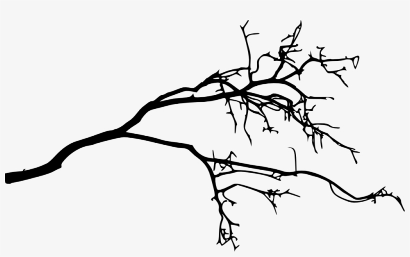 Png File Size - Tree Branch Silhouette, transparent png download