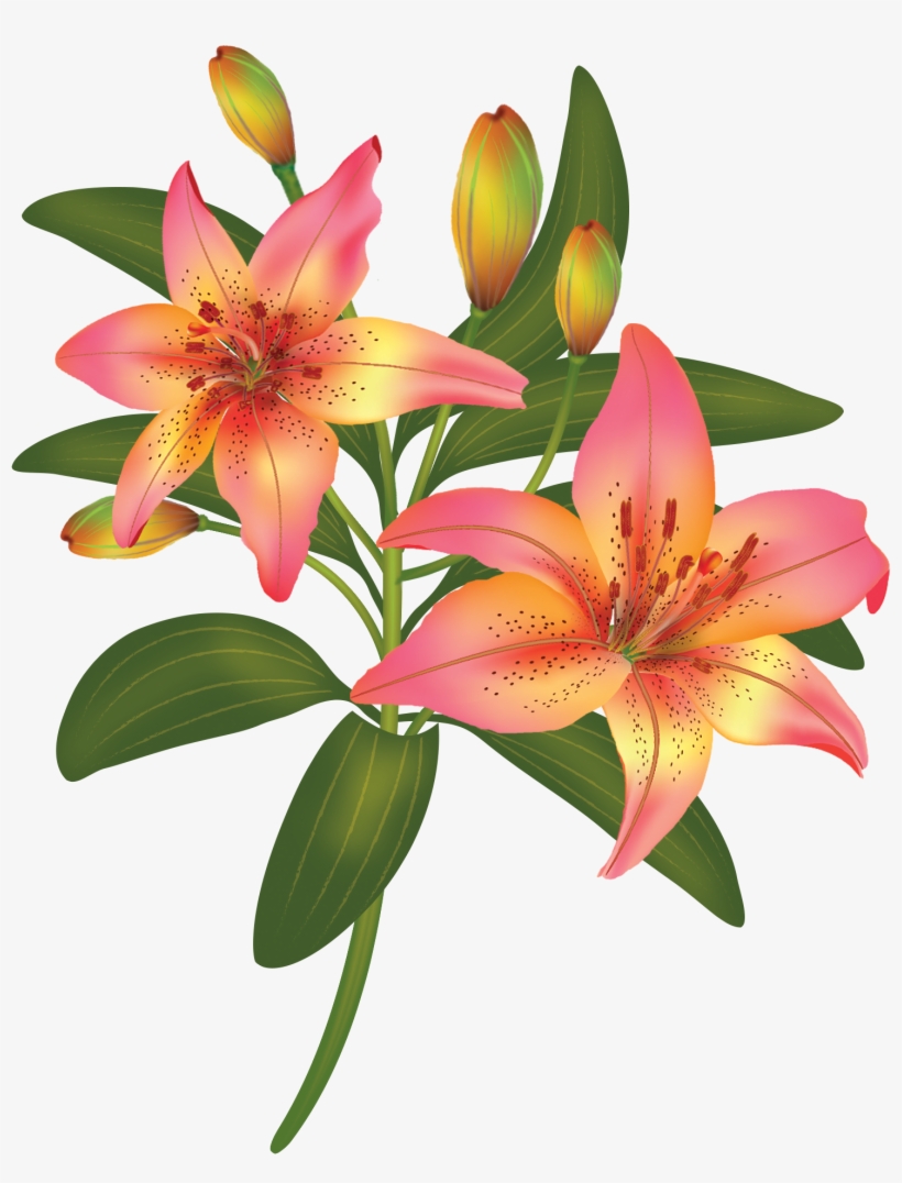 Flowers, Painting Illoustrator, Png File - Flower, transparent png download
