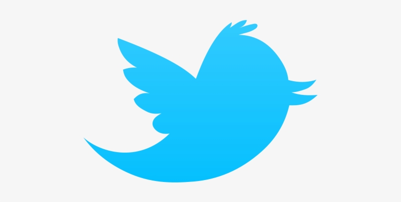 Twitter Bird Icon - Logo Twitter, transparent png download