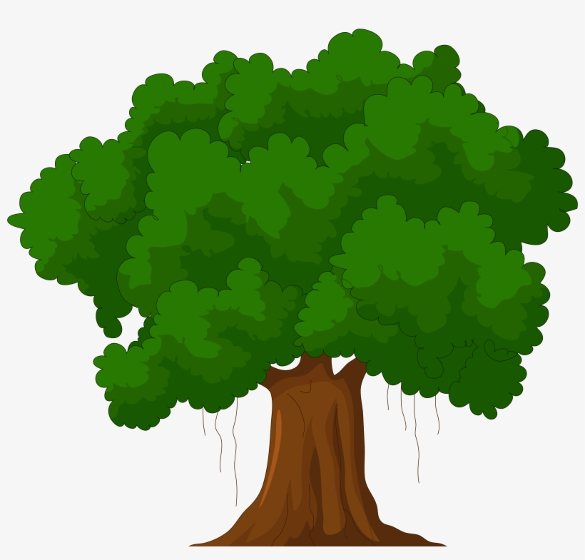 14 Best Png Trees Palm Conventional Method Of Water - Tree Clipart, transparent png download