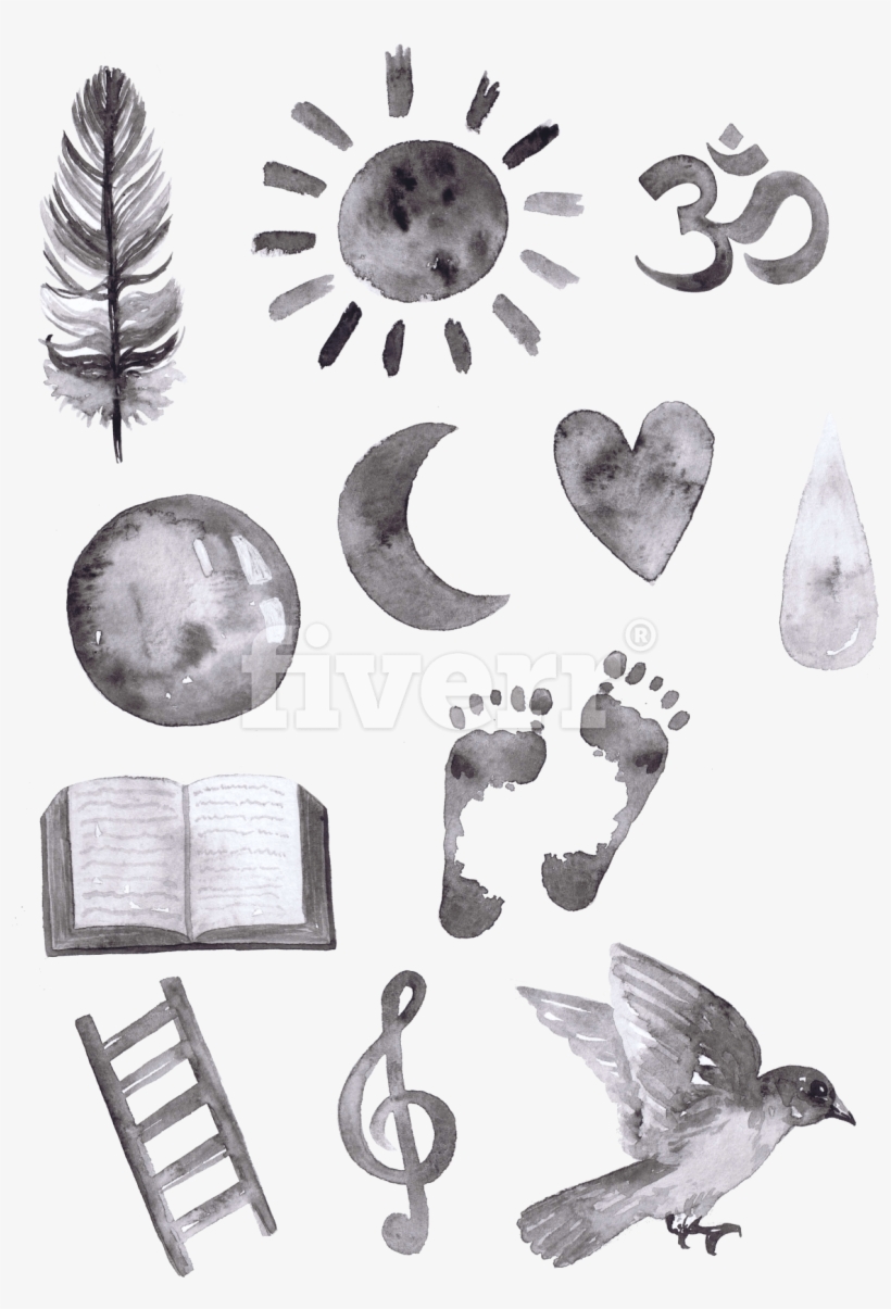 Stock Dove, transparent png download