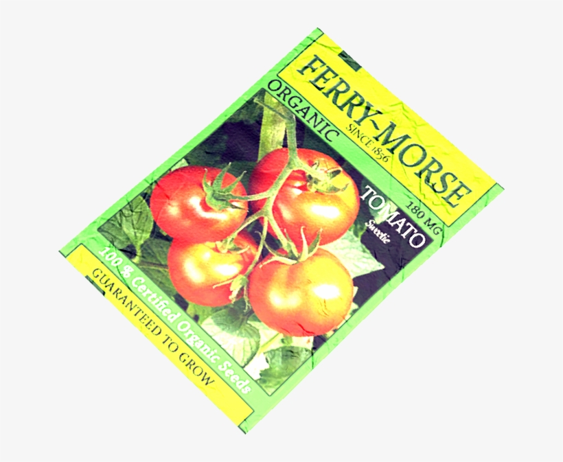 Bush Tomato, transparent png download