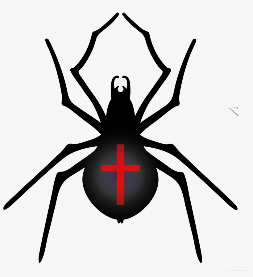 Halloween Spider Png Clipart - Halloween Spider Png, transparent png download