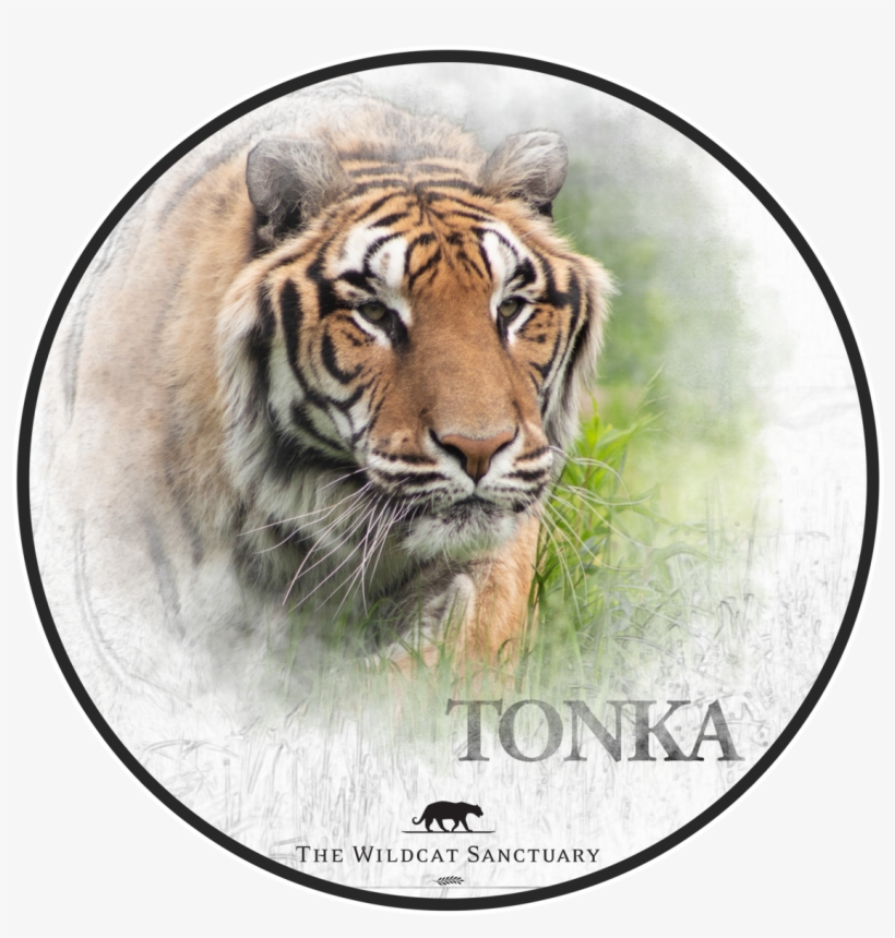 Canyon County Idaho Seal, transparent png download