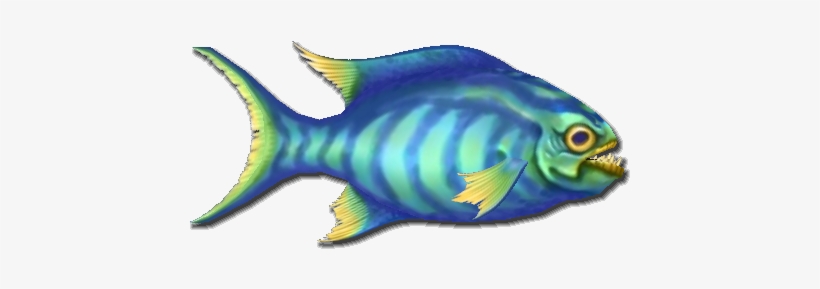 Fish 13 Pomacentridae PNG Image Transparent PNG Free Download on