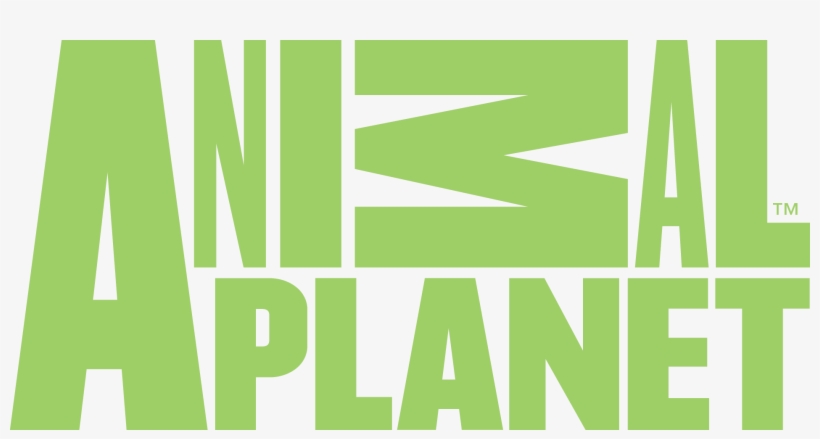 Animal Planet - Animal Planet Logo Png, transparent png download