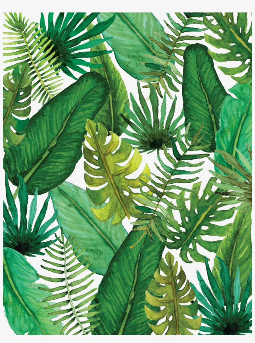 Er Piecewicz Palm Liner Transparent - Portable Network Graphics, transparent png download