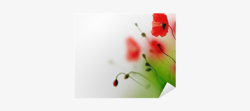 Watercolor Painting, transparent png download