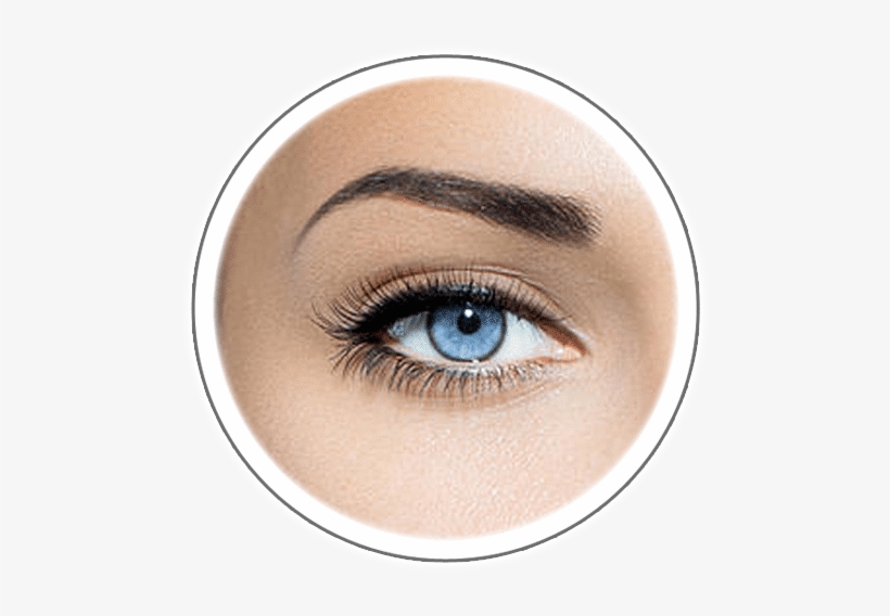 6033 Berkshire Ln Suite - Microblading Orlando, transparent png download