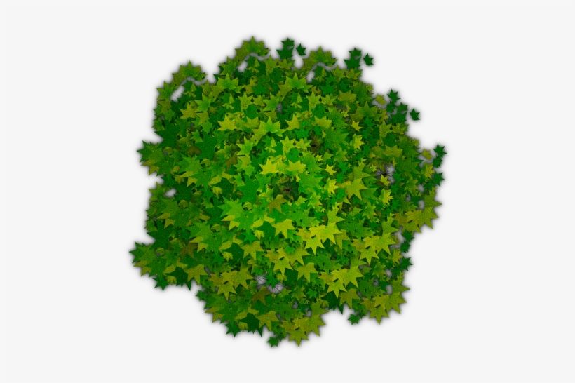 Clipart Royalty Free Download Tree Transparent Png - Photoshop Trees Top Png, transparent png download