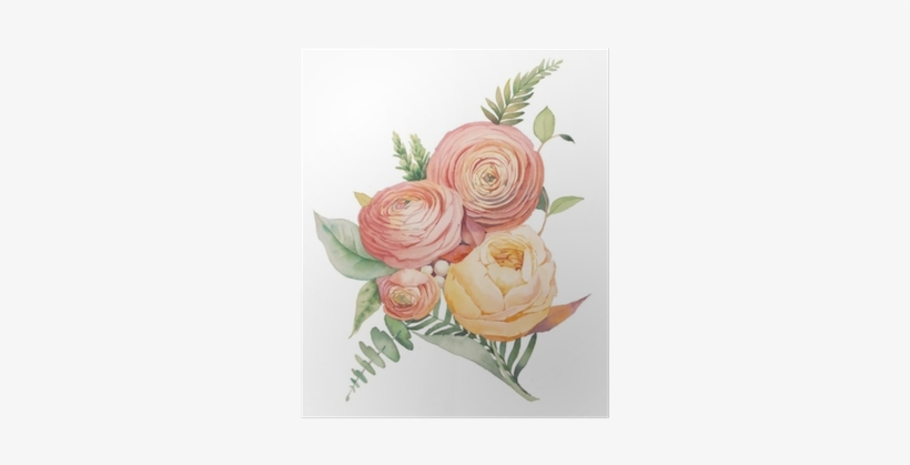 Watercolor Flowers Hand Painted - Ranunculus Botanical Illustration, transparent png download