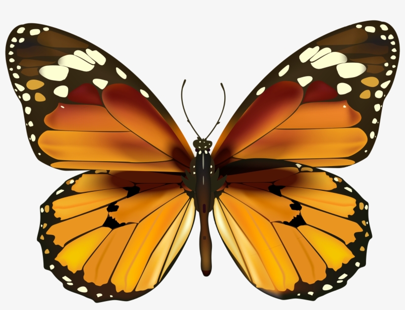 Yellow Butterfly Png Clipartu200b Gallery Yopriceville - Kinston Butterfly Pattern Pu Leather Cover Pouches, transparent png download