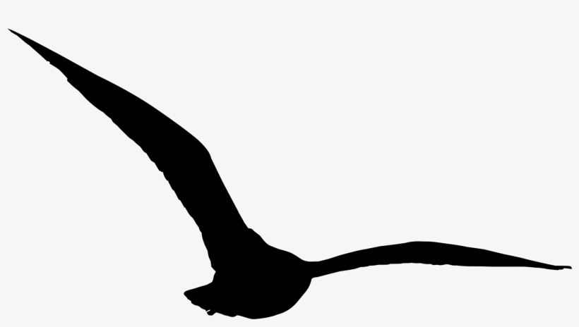 Bird Silhouette Png - Portable Network Graphics, transparent png download