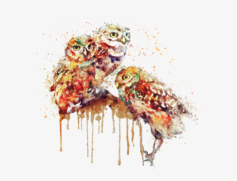 Bleed Area May Not Be Visible - Black And White Owl Watercolor, transparent png download