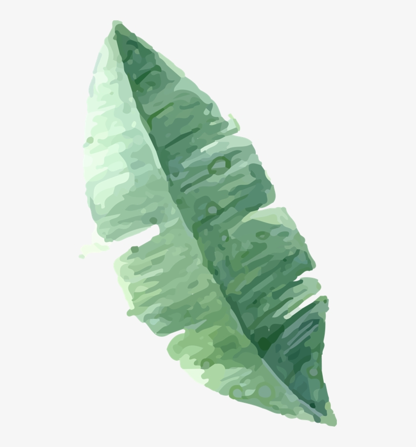 Watercolor Painting, transparent png download