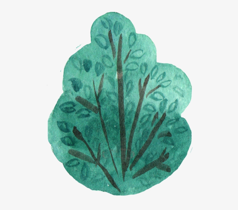 Report Abuse - Sea Kale, transparent png download