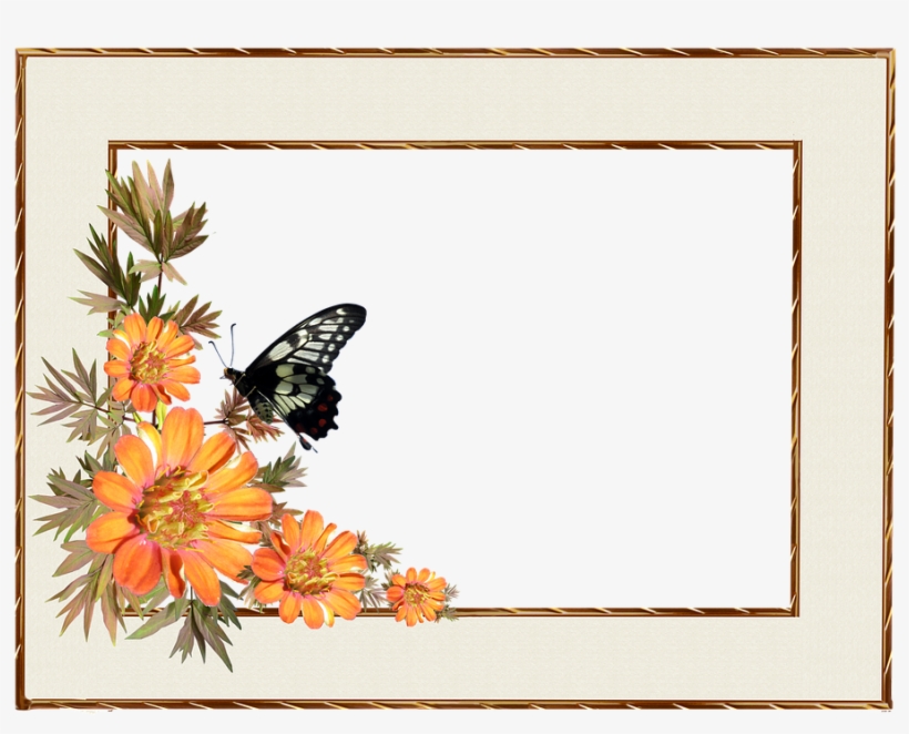 Frame, Border, Flowers, Butterfly, Decorative - Good Morning Happy Sunday, transparent png download