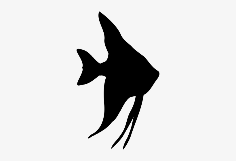 Fish Silhouette, Tropical Fish, Free Clipart Images, - Angelfish Silhouette, transparent png download