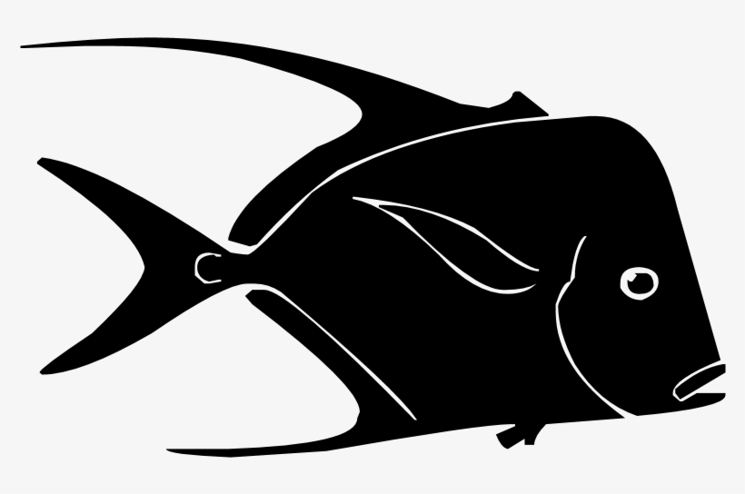 Silhouette Fish 002 By Jassy2012 On Clipart Library - Silhouette Png Fish, transparent png download