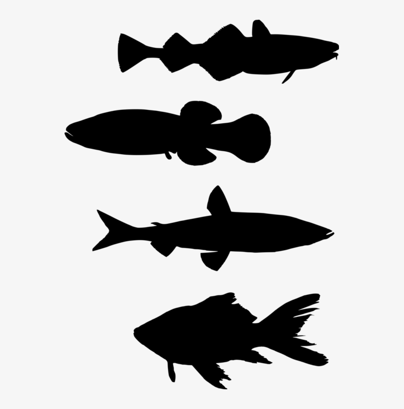 Fish Silhouette Shoaling And Schooling Computer Icons - School Of Fish Silhouette Png, transparent png download