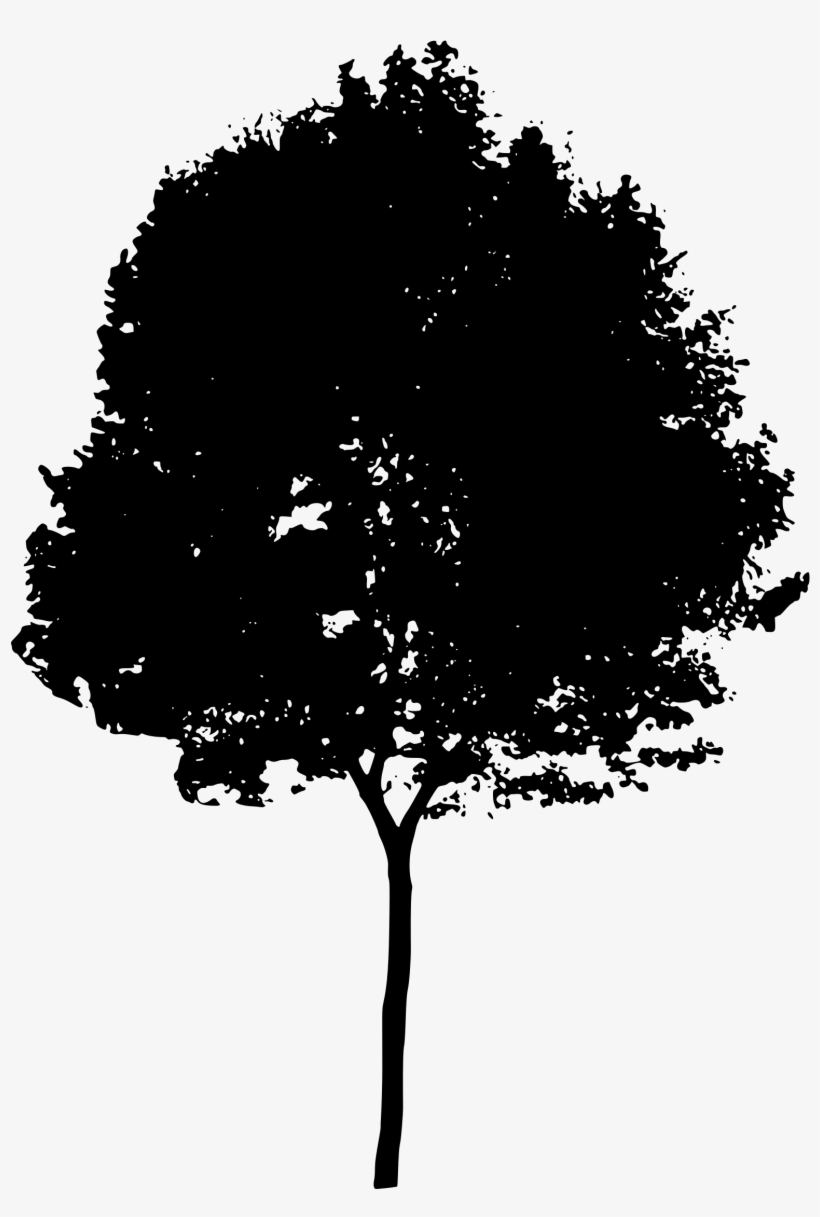 Tree Silhouette Png PNG Image Transparent PNG Free Download on SeekPNG