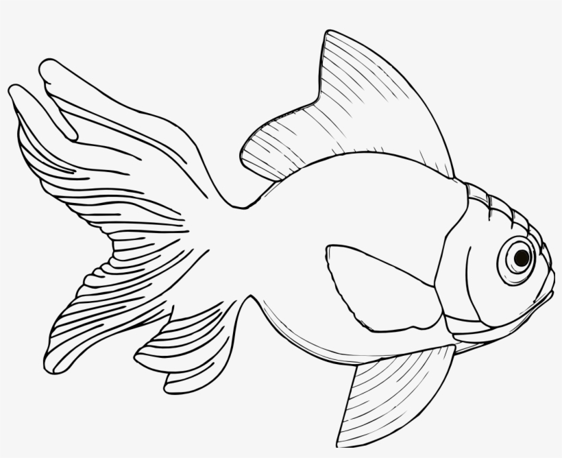 Preschool To Pretty Clipartist Net Clip Black - Fish Clipart Black And White, transparent png download