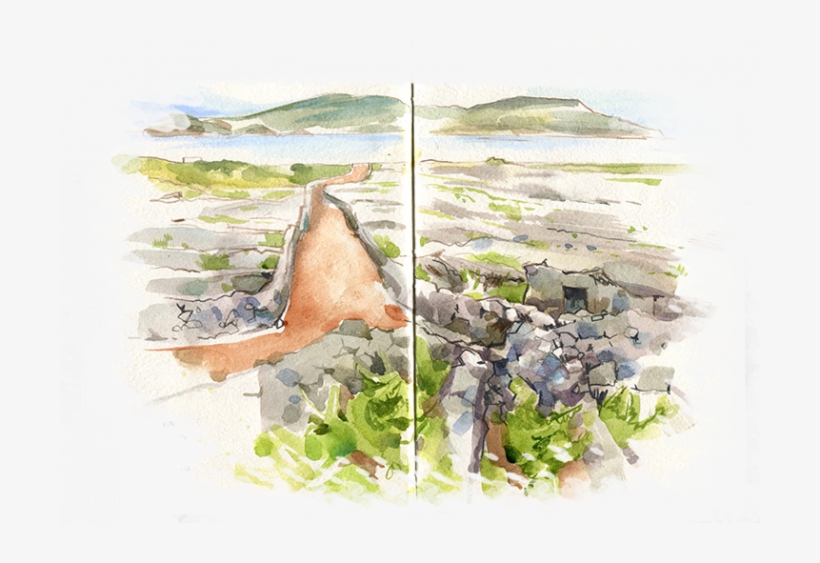 One Of Her Most Curious Remarks States - Watercolor Paint, transparent png download