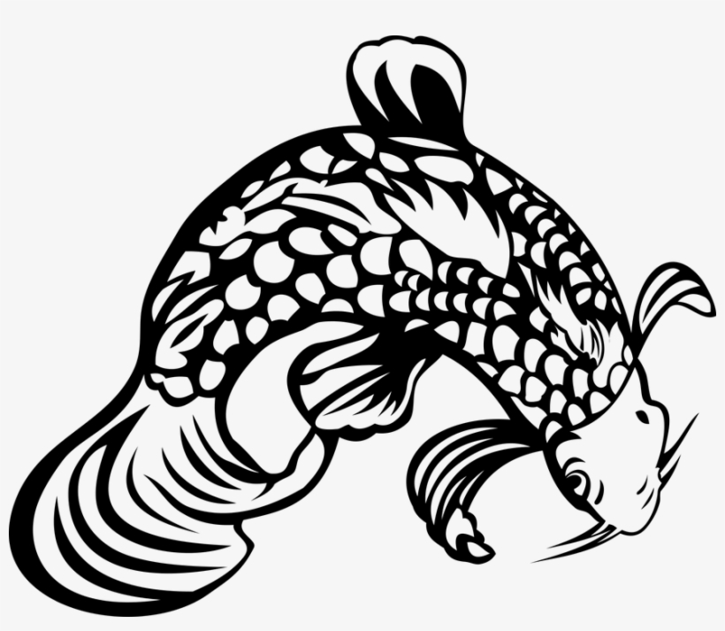 Fish, The Silhouette, Catfish, Vector, No Background - Fish Drawing No Background, transparent png download