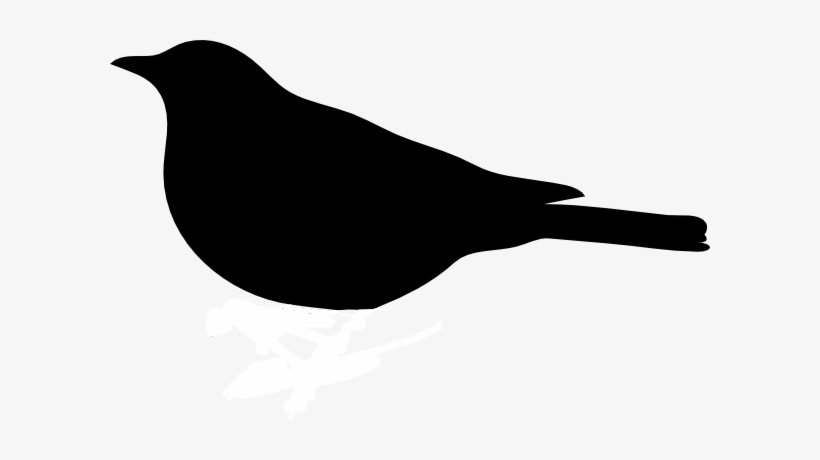 Bird Silhouette Svg Clip Arts 600 X 380 Px, transparent png download
