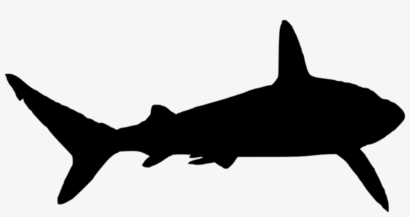 Free Download - Shark Silhouette Png, transparent png download