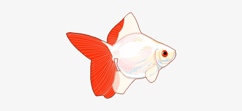 Silhouette Fish Clip Art - Fish Tumblr Png, transparent png download