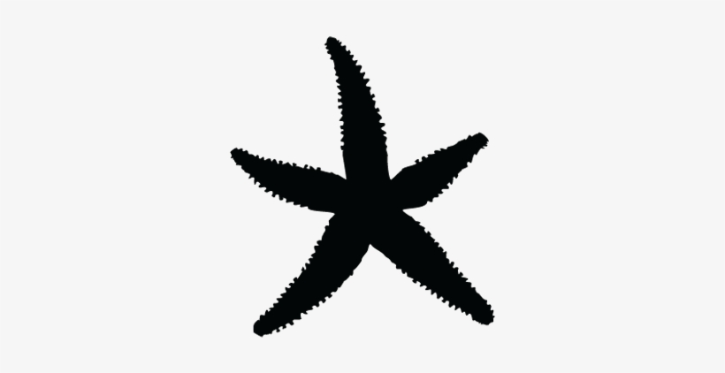 Star Fish Clipart - Silhouettes Of Star Fish, transparent png download