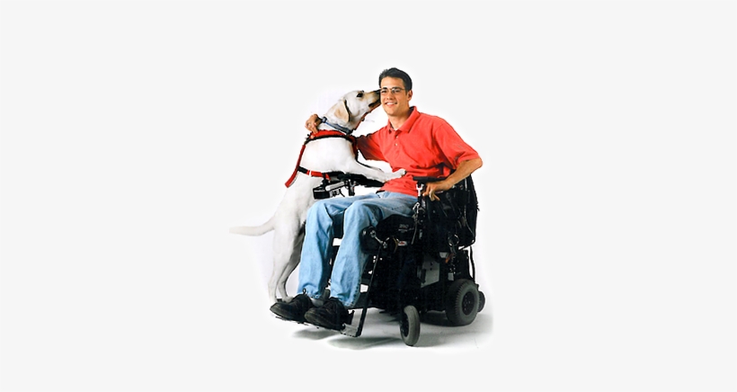 Man In Wheelchair - Man In Wheelchair Png, transparent png download