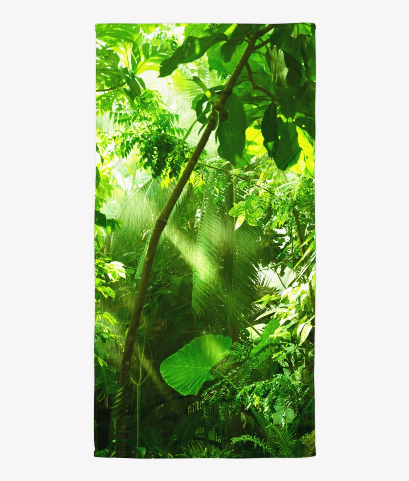 Tropical Beach Towel - False Rain Forest Premium Fragrance Oil, 4 Oz. Bottle, transparent png download