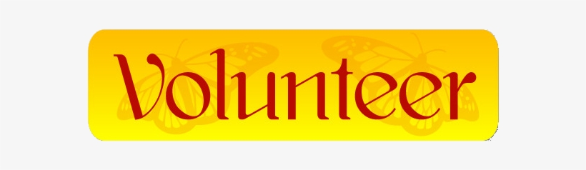 Contact Us - Calligraphy, transparent png download