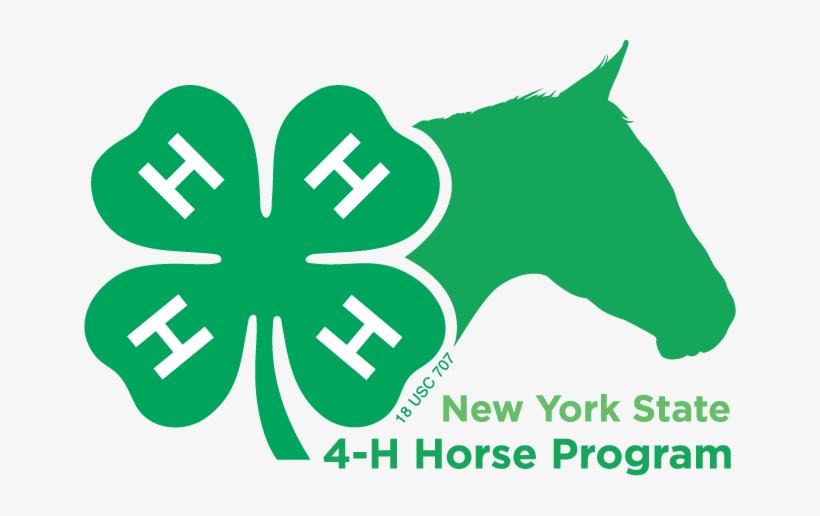 Nys 4 H Horse Program Logo, Black, Jpg - Ny State 4 H Horse, transparent png download