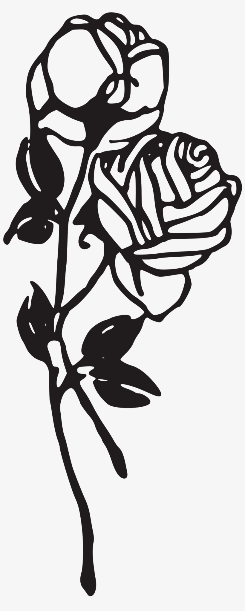 Black And White Rose Png Image Royalty Free Stock - Rose Clipart Png Black And White, transparent png download