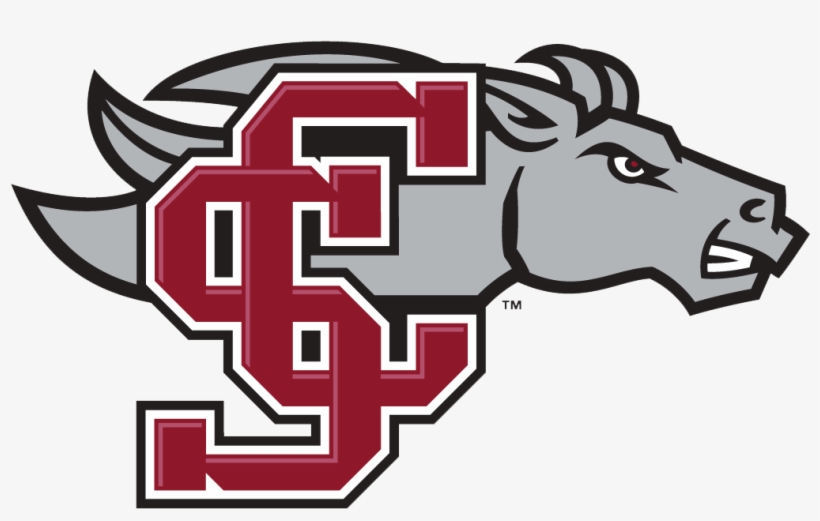 Santa Clara Broncos Women's Basketball- 2018 Schedule, - Santa Clara Broncos, transparent png download