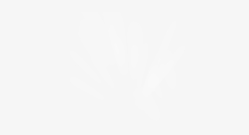 Page Title Divider - Nba Finals Logo White, transparent png download