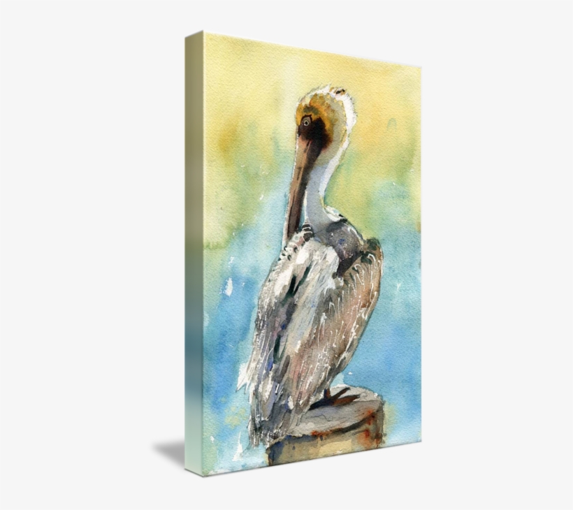 "pelican Bird Art Pelican Brief" By Miriam Schulman - Gallery-wrapped Canvas Art Print 16 X 24 Entitled Pelican, transparent png download